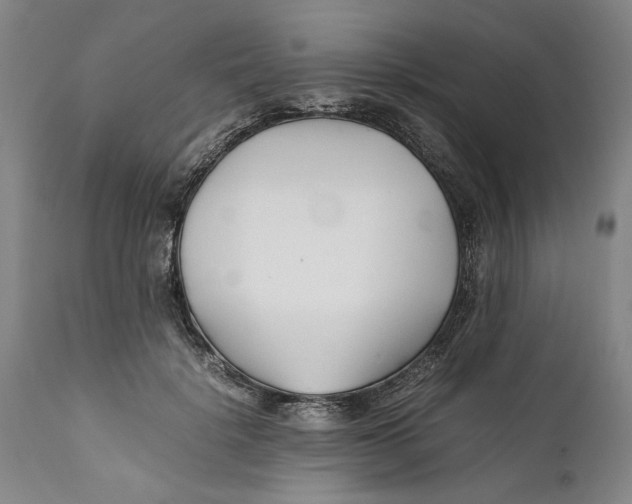X0000112370652200909101322