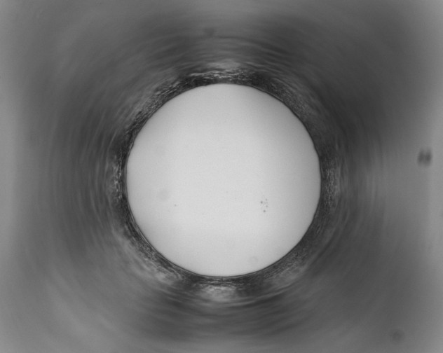 X0000112370653200909101322