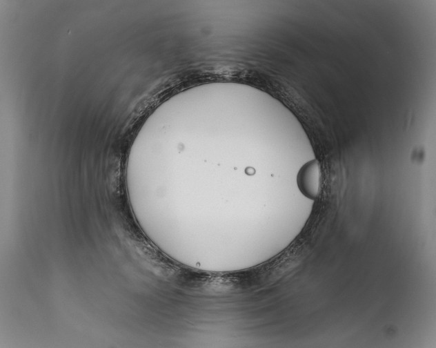 X0000112370656200909101323