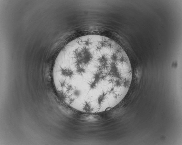 X0000112370663200909101323