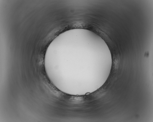 X0000112370665200909101323