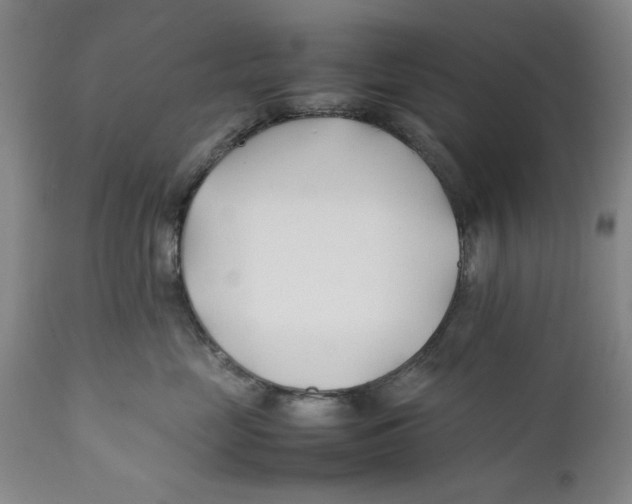 X0000112370669200909101323