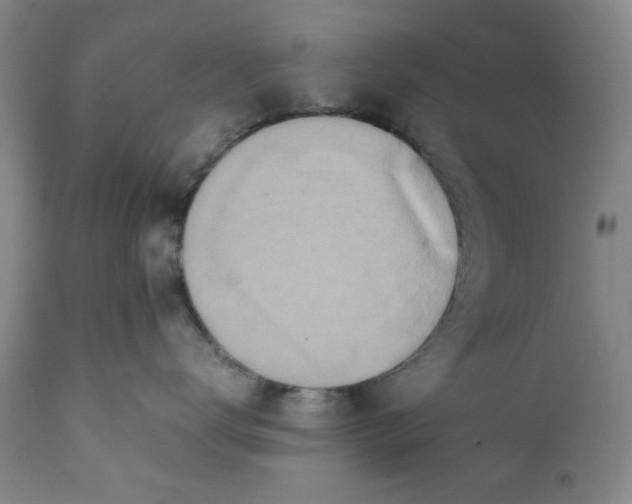 X0000112370672200909101323