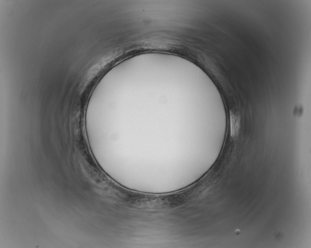 X0000112370675200909101322