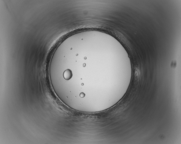 X0000112370676200909101322