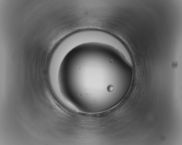 X0000112370677200909101322