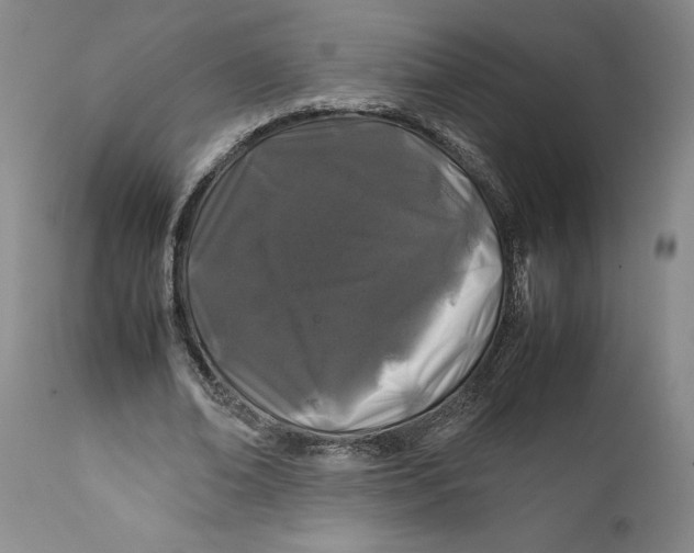 X0000112370678200909101322