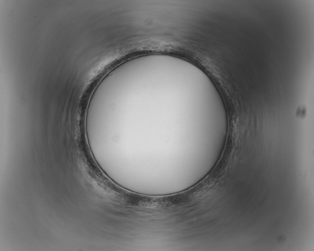 X0000112370679200909101322