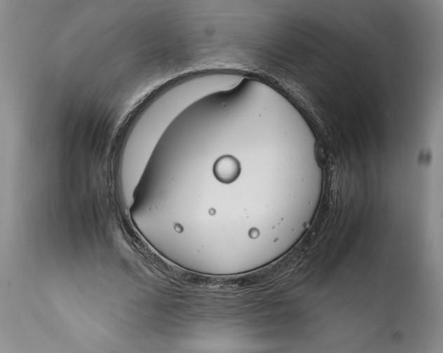 X0000112370680200909101322