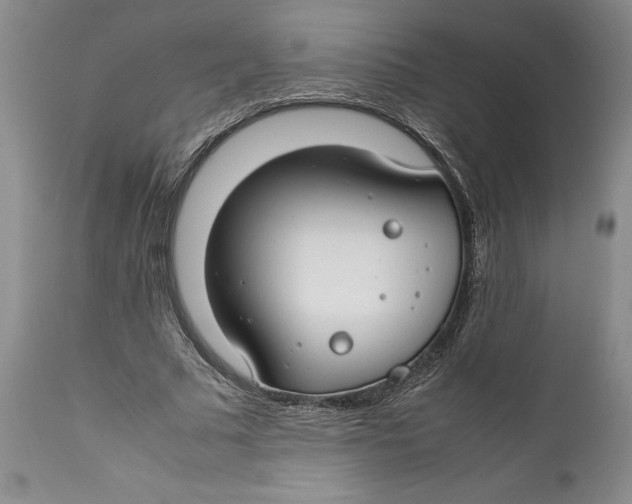 X0000112370681200909101322