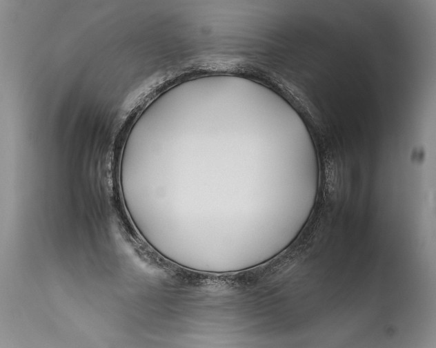 X0000112370682200909101322