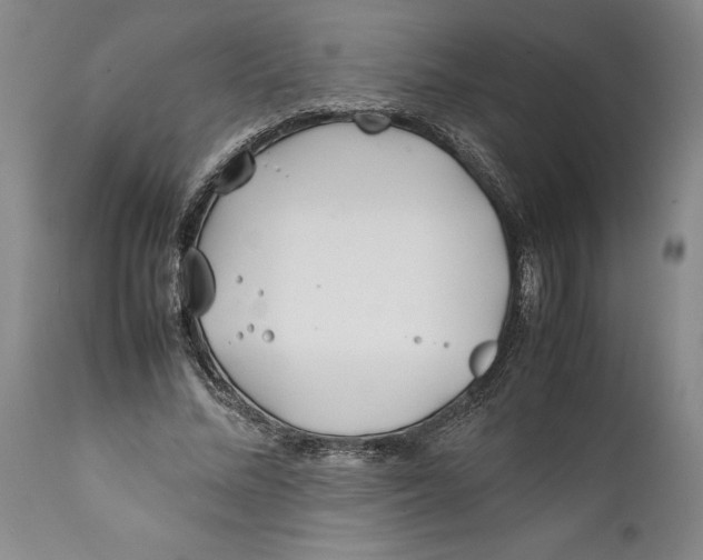 X0000112370684200909101322