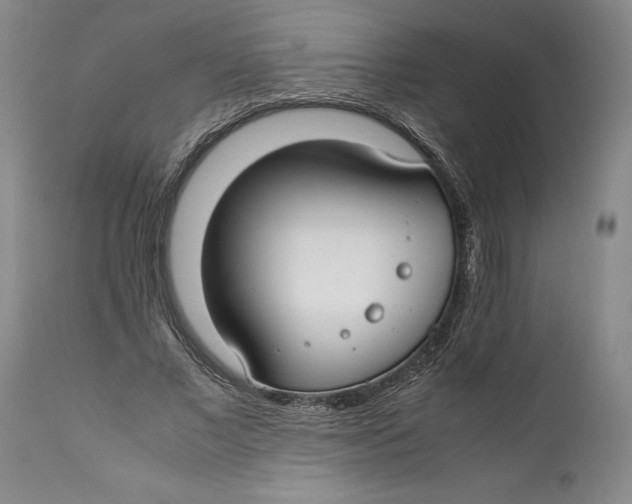 X0000112370685200909101322