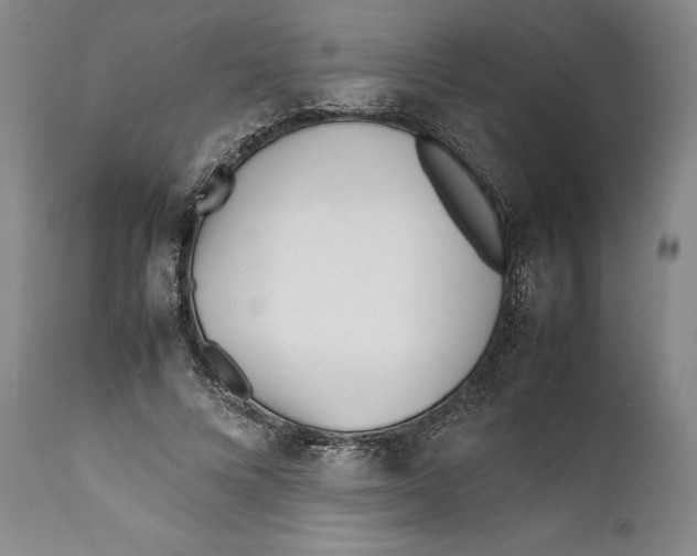 X0000112370688200909101322