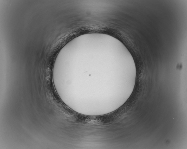 X0000112370689200909101322