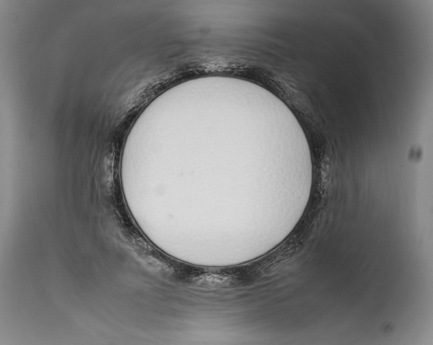 X0000112370691200909101322
