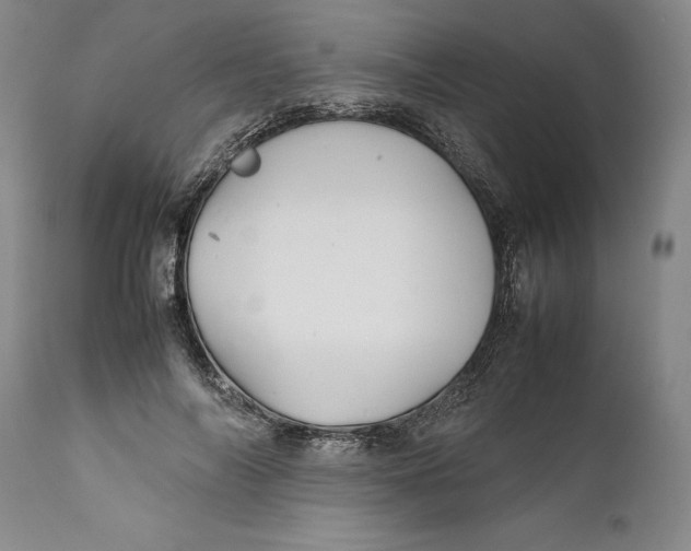 X0000112370694200909101322