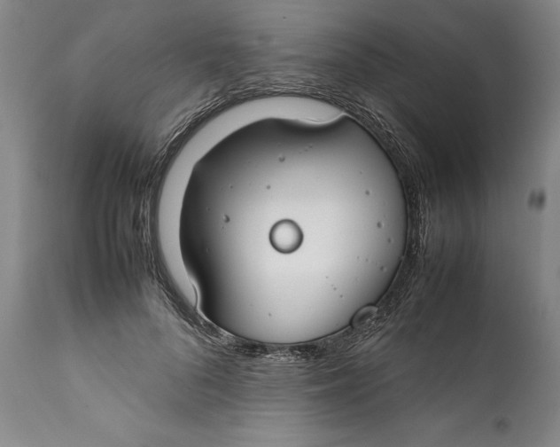 X0000112370696200909101322