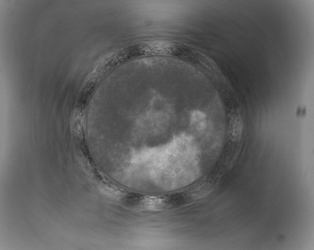 X0000112370701200909101322