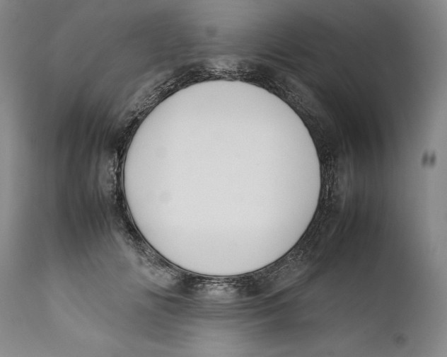 X0000112370702200909101322