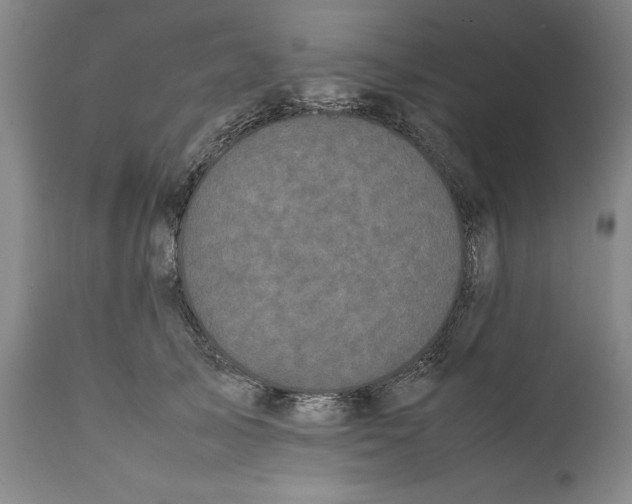 X0000112370705200909101321
