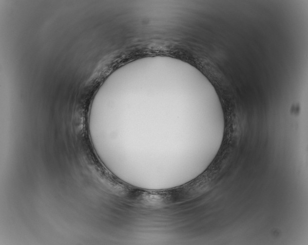 X0000112370706200909101321