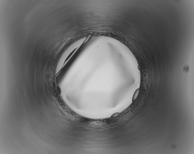 X0000112370708200909101321