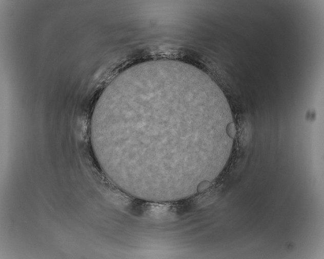 X0000112370709200909101321