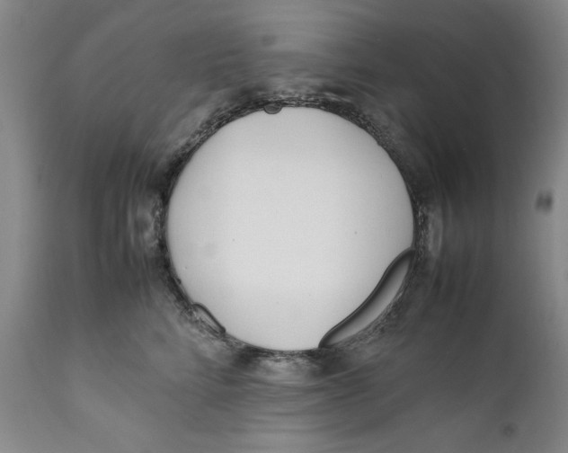X0000112370712200909101321