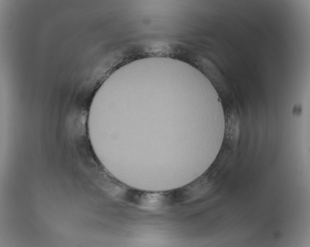 X0000112370717200909101321