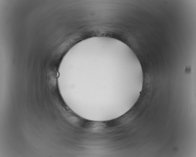 X0000112370719200909101321