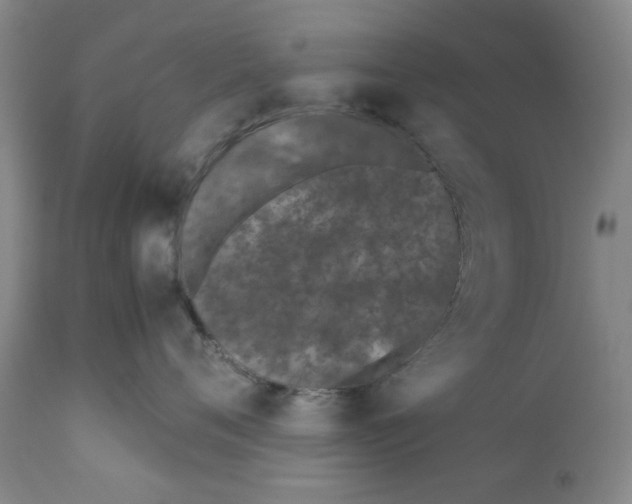 X0000112370720200909101321