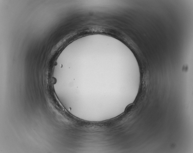 X0000112370722200909101320