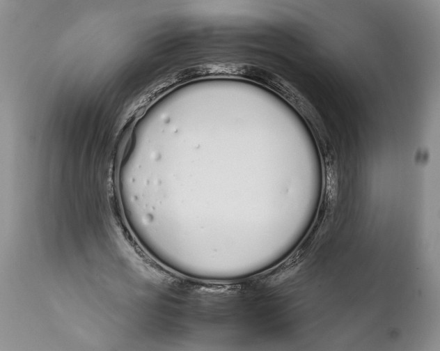 X0000112370725200909101320
