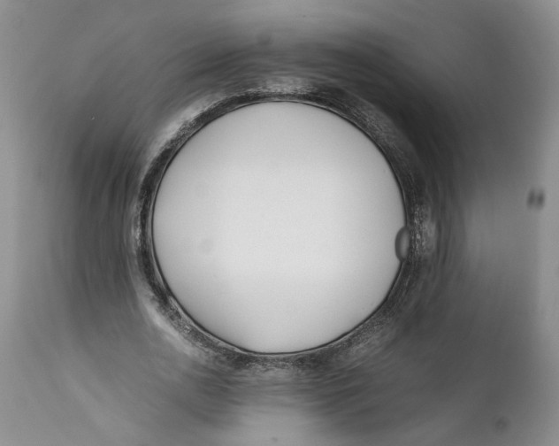 X0000112370726200909101320