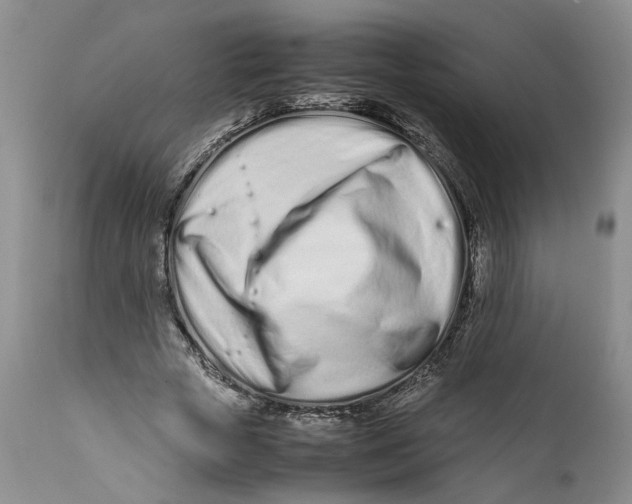 X0000112370729200909101320