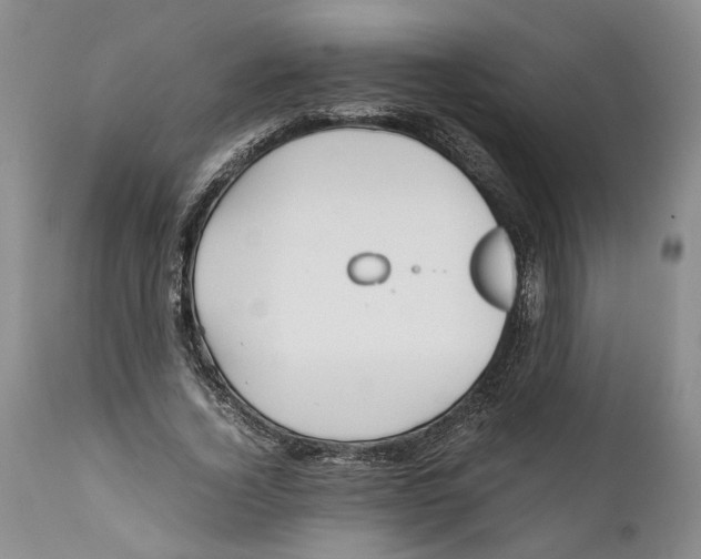 X0000112370732200909101320