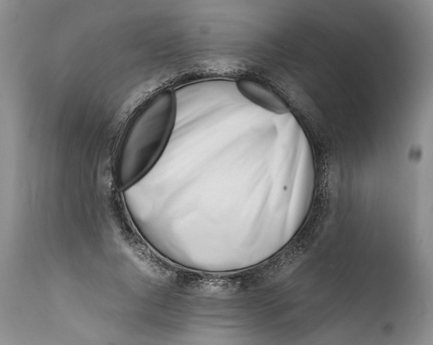 X0000112370736200909101320
