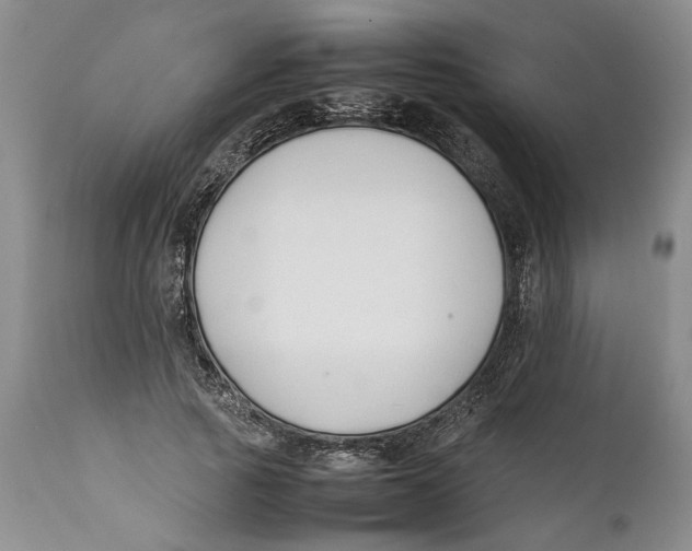 X0000112370737200909101320