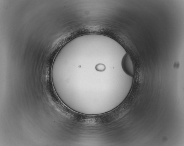 X0000112370740200909101321
