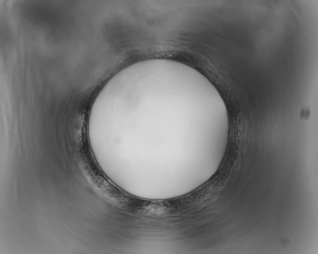 X0000112370742200909101321