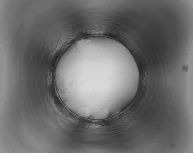 X0000112370743200909101321