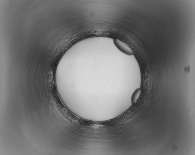 X0000112370748200909101321