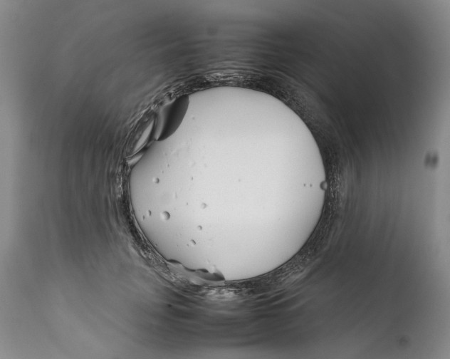 X0000112370751200909101321