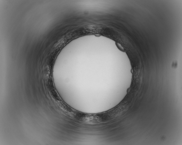 X0000112370752200909101321