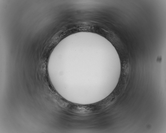 X0000112370753200909101321