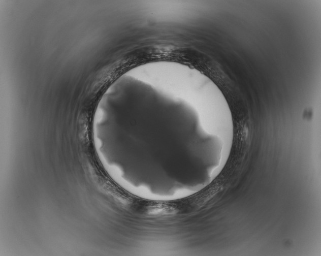 X0000112370754200909101321