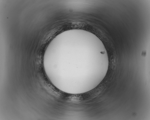 X0000112370756200909101321