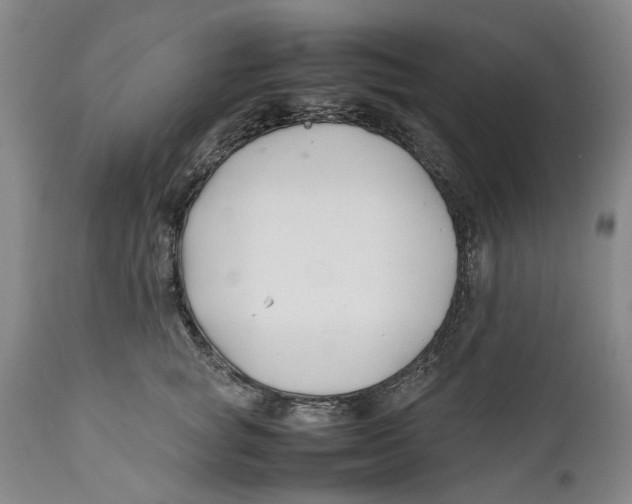 X0000112370757200909101321