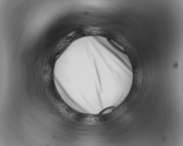 X0000112370760200909101321